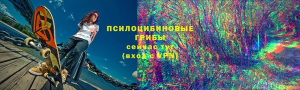 прущая мука Нея
