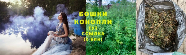 прущая мука Новодвинск